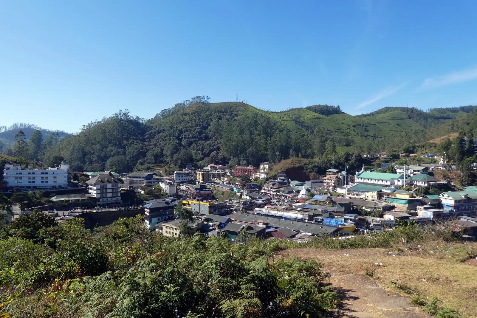 Munnar, Kerala